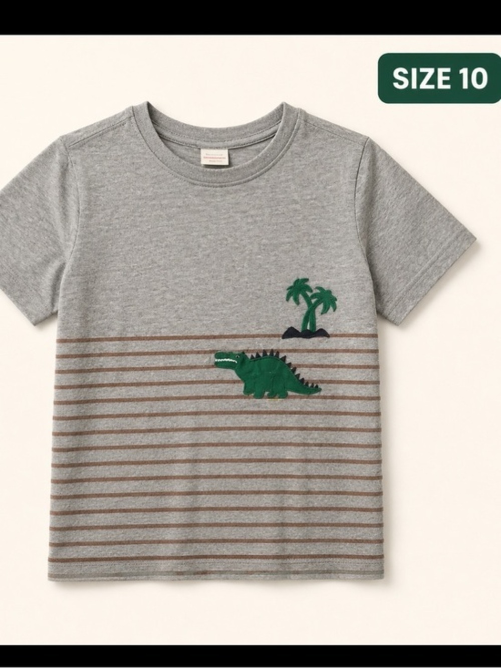 Hanna Anderson dinosaur tee in size US 10
